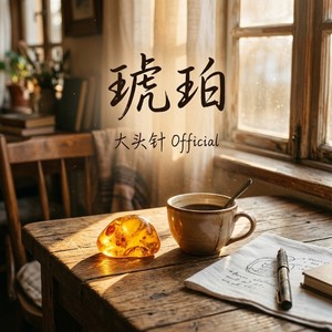 琥珀封面