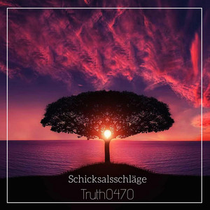 Schicksalsschläge (Explicit)