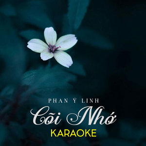 Cõi Nhớ Karaoke