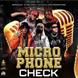 Doble tono microphone check flow 28 (Explicit)