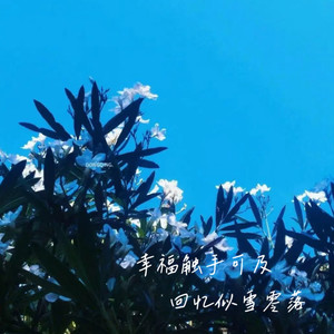 请不要哈气
