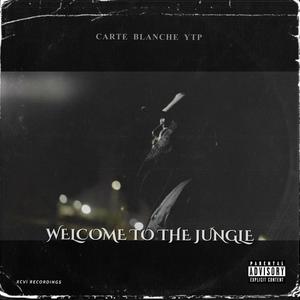 Welcome To The Jungle (feat. Noni Picasso & Noni Spitz)