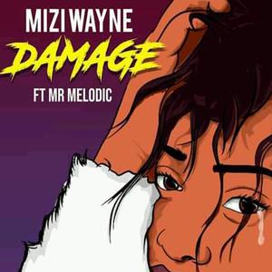 Damage (feat. Mr.Melodic)