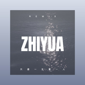 只愿一生爱一人 (Remix)