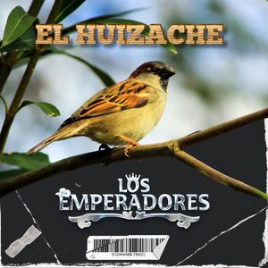 El Huizache