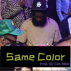 Same Color (Explicit)