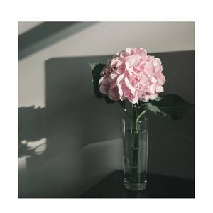 Every Living Breathing Moment - Piano (Night)