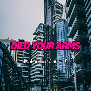 DJ DIED YOUR ARMS