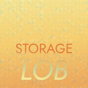 Storage Lob