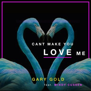 Can't Make You Love Me