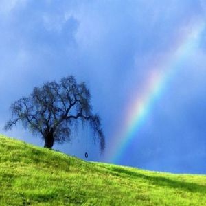 Rain Is Gone (Americana Version)