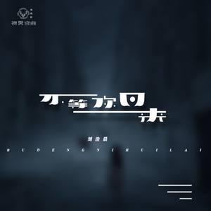 不等你回来