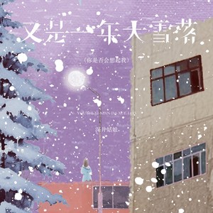 又是一年大雪落(你是否会想起我)