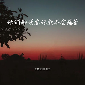 他们都说忘记就不会痛苦