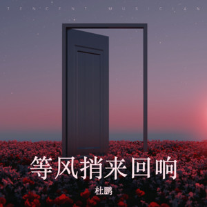 等风捎来回响