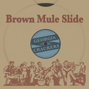 Brown Mule Slide