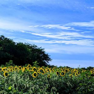 Clouds (feat. Artur Tomaszewski & Bill Brooks)