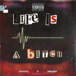 Life is a ***** (Explicit)