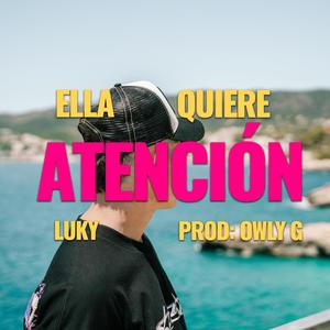 ELLA QUIERE ATENCIÓN (feat. Owlyg)