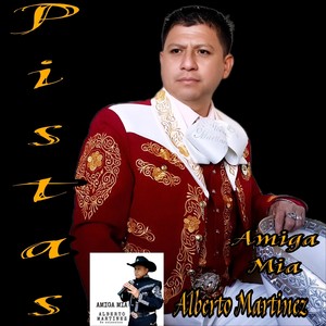Amándote (Pista)