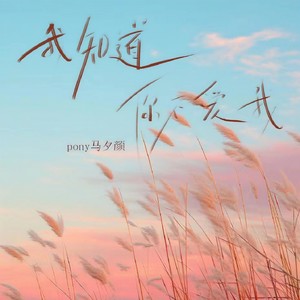 我知道你不爱我