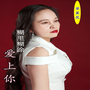 糊里糊涂爱上你