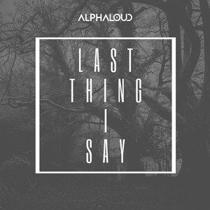 Last Thing I Say (Radio Edit)