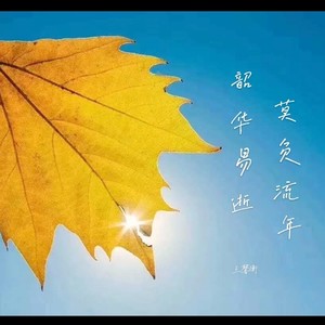 韶华易逝 莫负流年