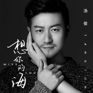 想你的海