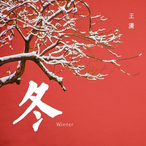 王潇 - 冬至