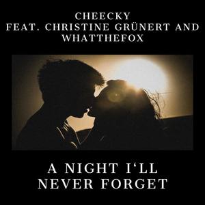 A Night I'll Never Forget (feat. Christine Grünert & WhatTheFox)