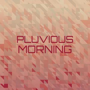 Pluvious Morning