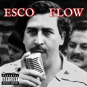 Esco Flow (Explicit)