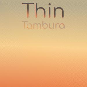 Thin Tambura