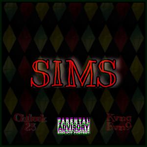 SIMS (feat. Kvng Bvn9) (Explicit)