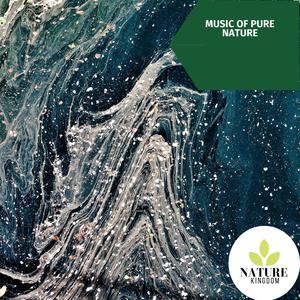 Music of Pure Nature