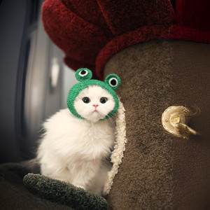 月半弯 (COVER版)