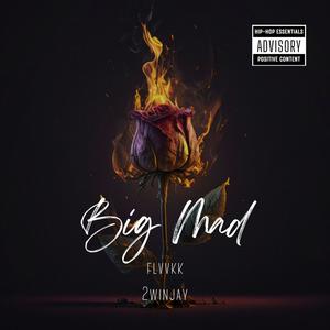 Big Mad (feat. 2WINJAY) (Explicit)