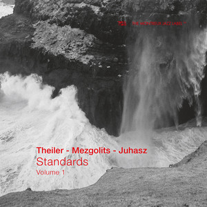 Standards, Vol. 1