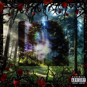 Morning Wood(feat. Jay Money & Lil Vivid) (Explicit)