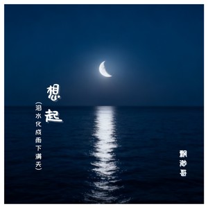 想起(泪水化成雨下满天)