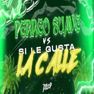 Perreo suave vs Si le gusta la calle