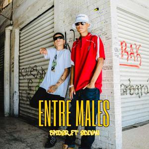 Entre Males (feat. Spider DS)