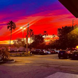 Chocolate Burger (Pickle Song) (Explicit)