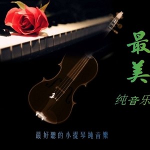 想你的365天 (钢琴/小提琴)-杨静蕾