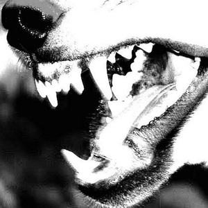 cCOLD S. (prod. akkiru1 r3versme|Explicit)