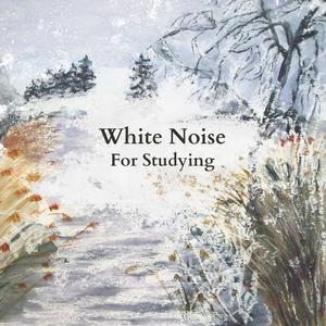 White Noise For Studying