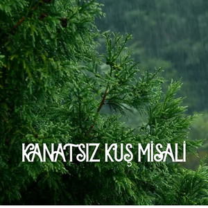 Kanatsız Kuş Misali