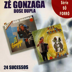 Dose Dupla. 24 Sucessos