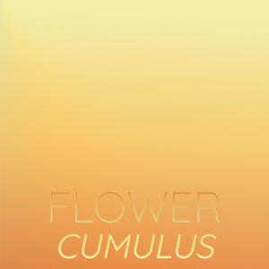 Flower Cumulus